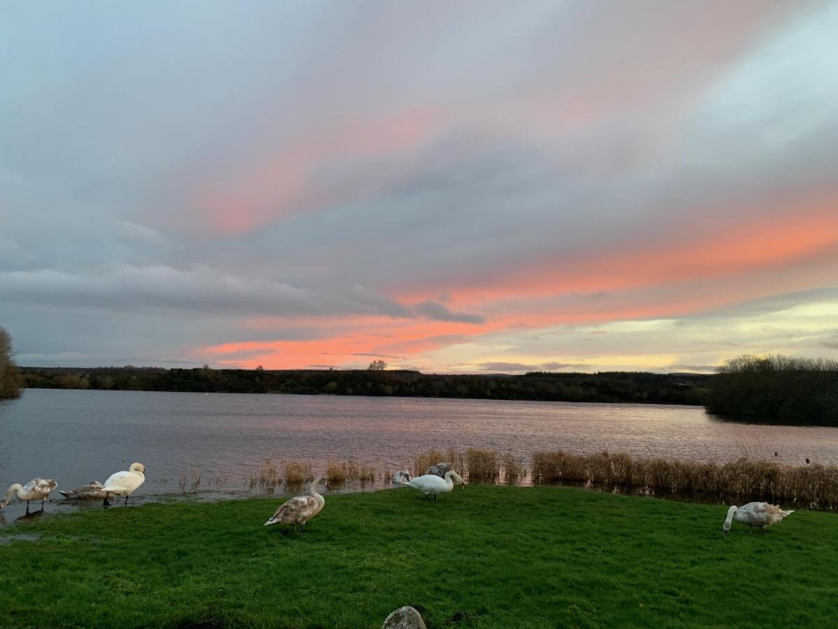 Lochside Loft - Self Catering Apartment For 2 In A Great Location For Inverness Airport And Both Cabot Highlands & Nairn Golf Courses Exterior foto